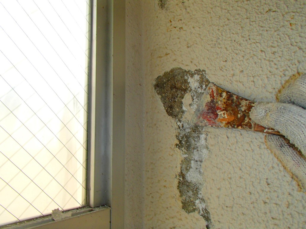 P1230006